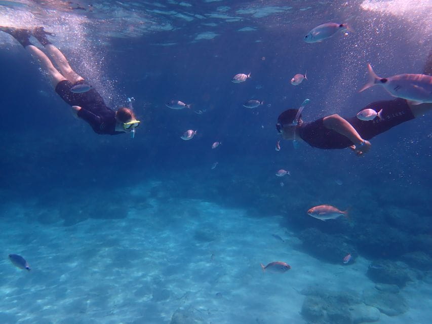 Mallorca: Snorkeling in a Beautiful Nature Reserve - Additional Activities in Mallorca