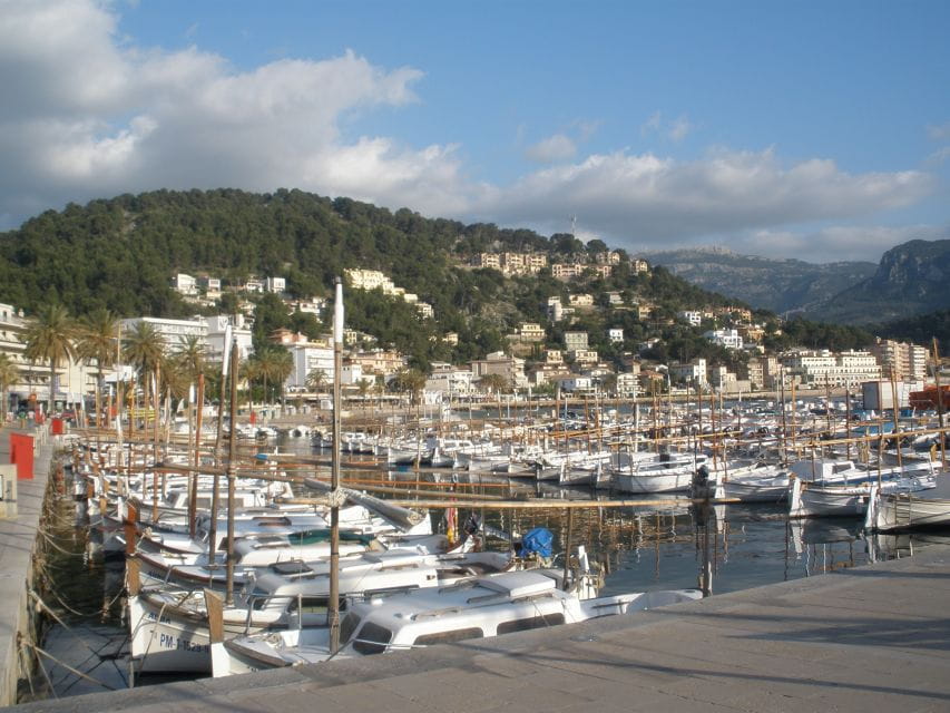 Mallorca: Soller Port and Valldemossa - Scenic Views and Aromas