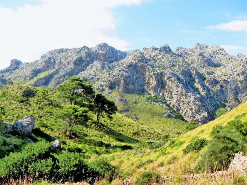 Mallorca Sóller Walking & Picnic Tour (Palma-Magaluf-Sóller) - Key Points