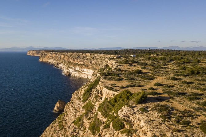 Mallorca Southern cliffs and the Salt Marshes guided Tour - Exploring Mallorca’s Hidden Corners: An In-Depth Review