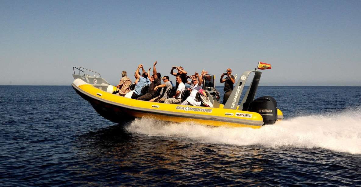 Mallorca : Speedboat, Snorkelling and Swimming Adventure - Customer Reviews