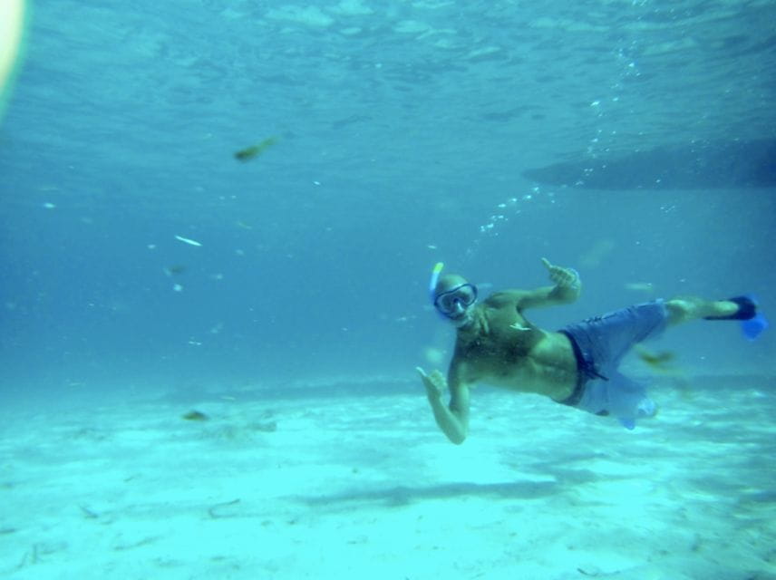 Mallorca : Speedboat, Snorkelling and Swimming Adventure - Important Information