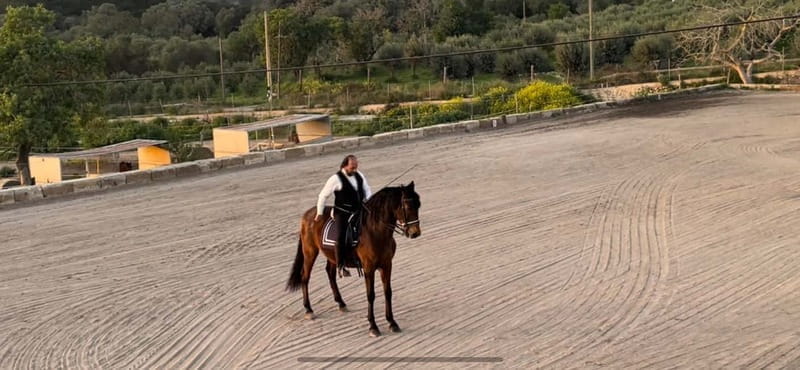 Mallorca: Sunset excursion, horse show, and falconry. - Setting the Scene: A Rural Mallorca Evening