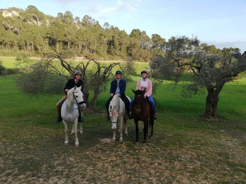 Mallorca: Sunset excursion, horse show, and falconry. - The Ride: Riding into the Sunset