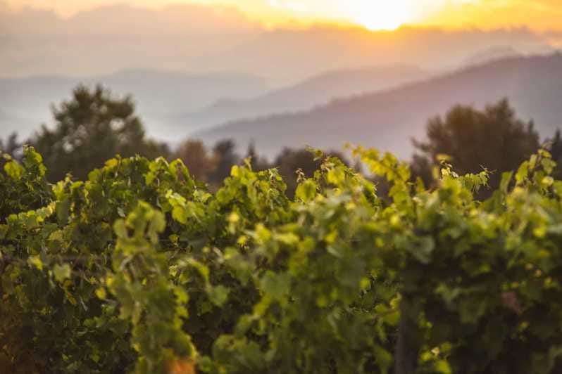 Mallorca: Sunset Wine Tasting Minibus Tour - ENGLISH GUIDE - The Food and Wine Pairings