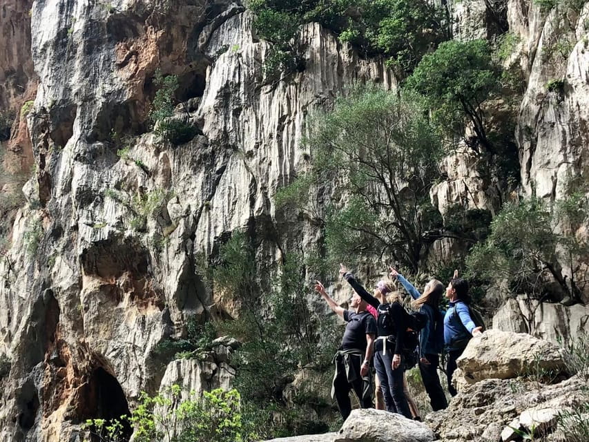 Mallorca: Torrent De Pareis Hiking Adventure - Things To Know
