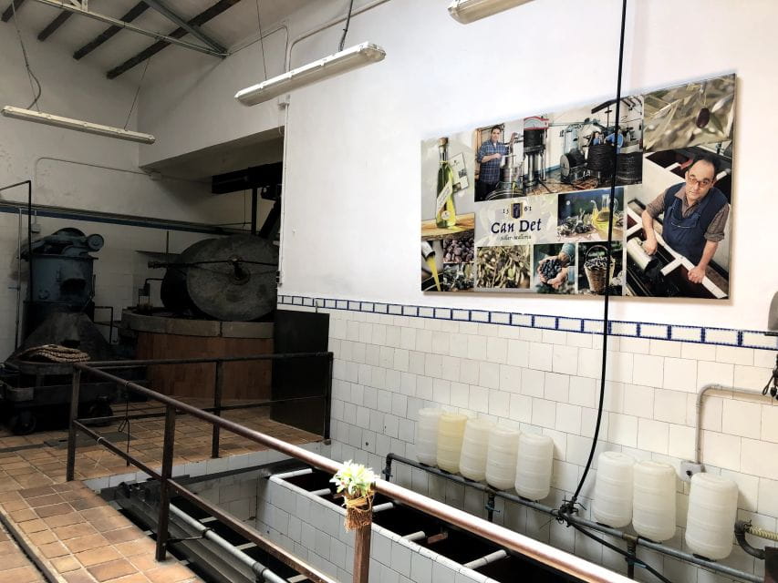 Mallorca: Tramuntana Mountains Tour With Local Guide & Lunch - Things To Know