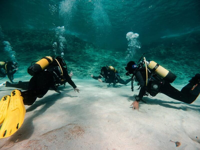 Mallorca: Try Scuba Diving by Boat - Key Points / Takeaways