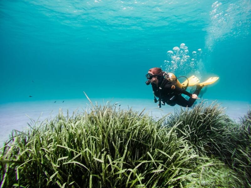 Mallorca: Try Scuba Diving by Boat - Exploring Mallorca’s Underwater World with Skualo Porto Cristo