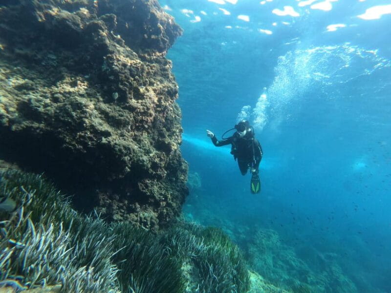 Mallorca: Try Scuba Diving by Boat - FAQ: Your Practical Questions Answered