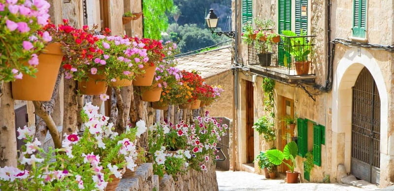 Mallorca: Valldemossa and Wine Tasting - Ultra Small group - Discovering Valldemossa: A Glimpse Into Mallorca’s Past