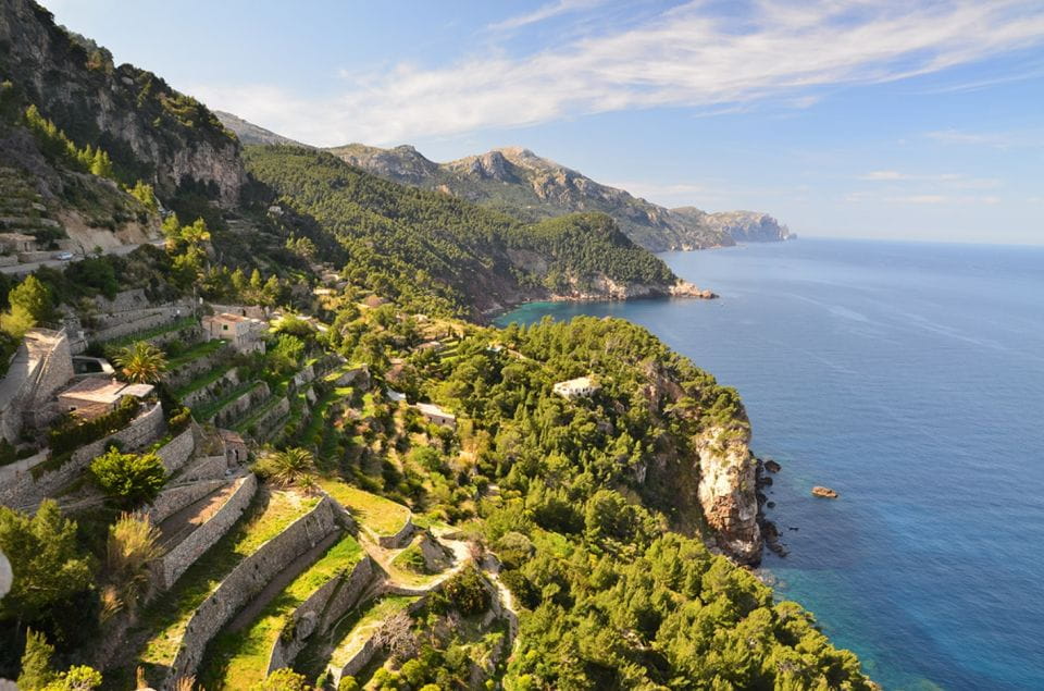 Mallorca: Valldemossa & Soller Tour - Itinerary Highlights