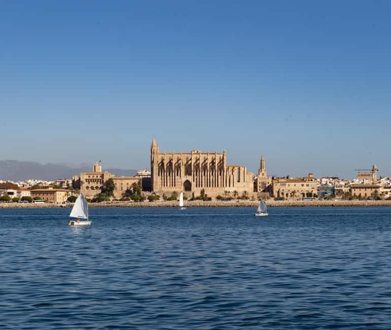 Mallorca: Visit Palma Speedboat adrenaline & snorkelling - Key points / Takeaways