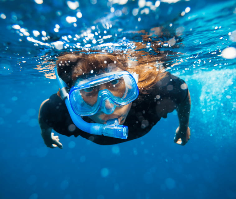 Mallorca: Visit Palma Speedboat adrenaline & snorkelling - The snorkelling stop in Palma Bay
