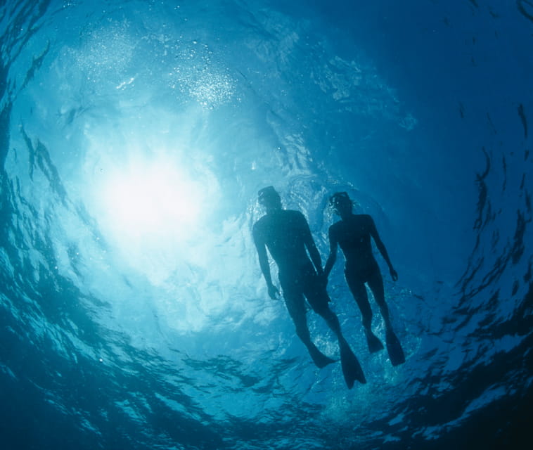 Mallorca: Visit Palma Speedboat adrenaline & snorkelling - Returning to Sa Calma Boats