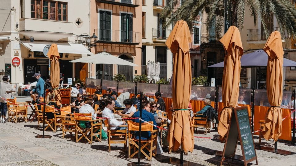 Mallorca Walking & Picnic Tour (Ink. Town, Nature, Beach) - Discovering the Tranquil Nature