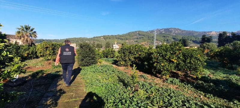 Mallorca: West Coast & Orange Valley Minbustour GERMAN GUIDE - The Tasting Experiences: More Than Just Snacks