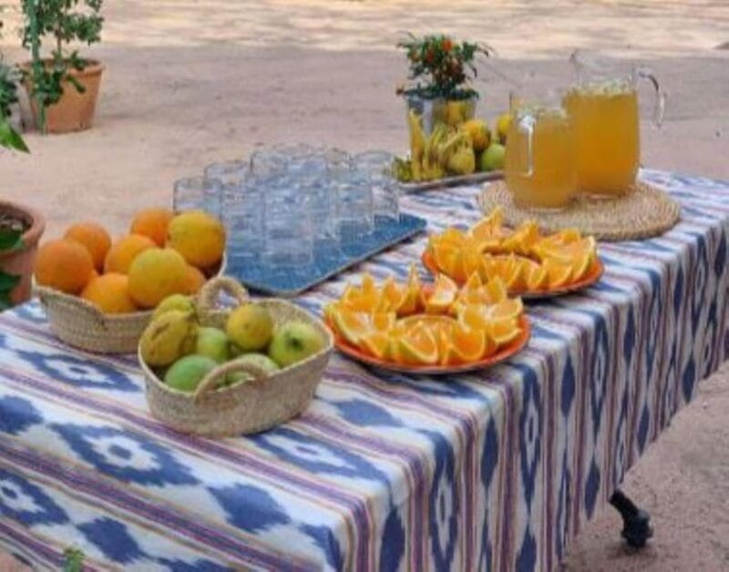 Mallorca: West Coast & Orange Valley Minbustour GERMAN GUIDE - Who Will Love This Tour?