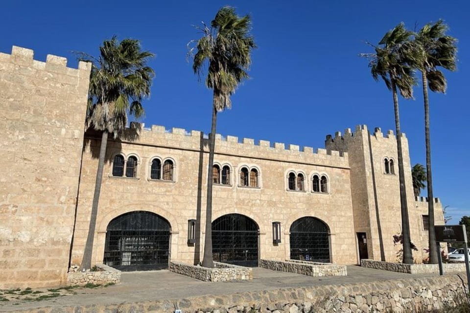 Mallorca: Wine Tasting From the Smallest Wineries 5 Wines - Booking Details and Pricing