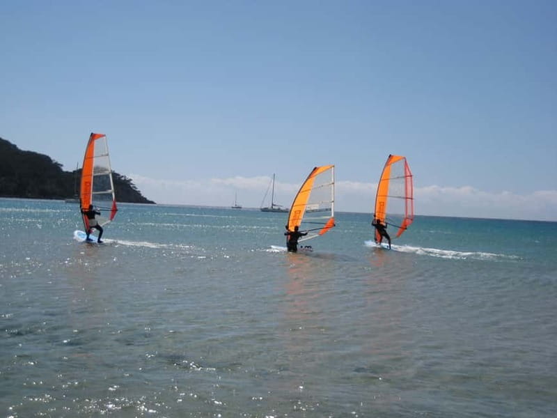 Malmö: Beginner class Dynamic Windsurfing - Practical Details: What Travelers Need to Know