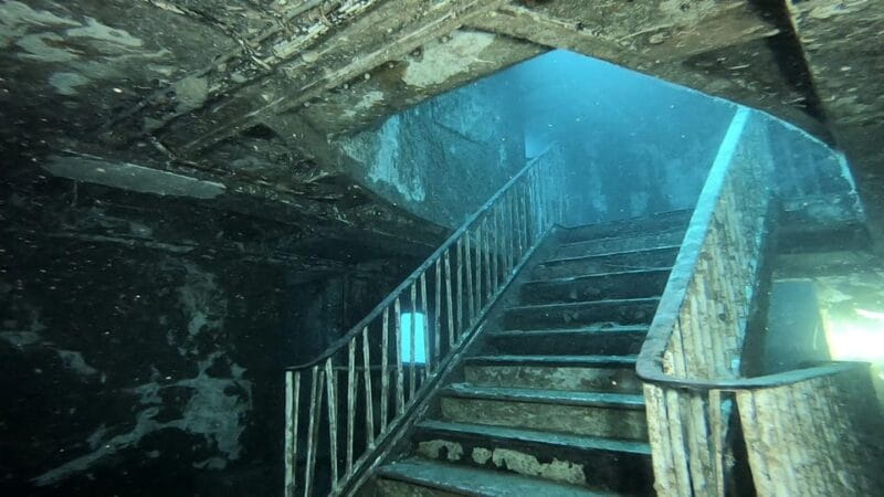 Malta: 2 Guided Dives for Certified Divers with Diving Gear - Introduction to Malta’s Underwater World