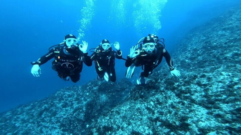 Malta: 2 Guided Dives for Certified Divers with Diving Gear - Price and Value Analysis