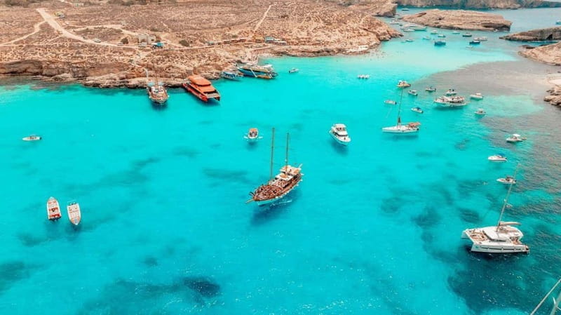 Malta: Blue Lagoon & Sea Caves Boat Trip & Gozo Buggy Tour - Price and Overall Value