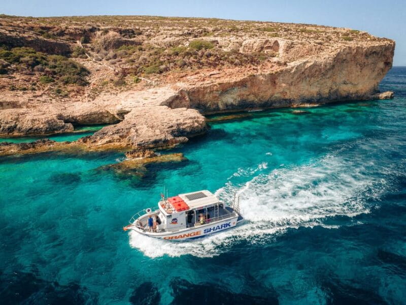 Malta: Boat Dive Trip for Certified Divers - Key Points / Takeaways