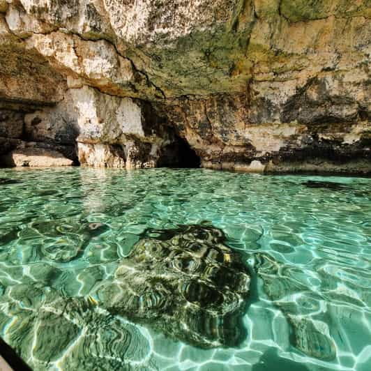 MALTA Comino BlueLagoon 3 hours Private Boat trips - Key Points / Takeaways