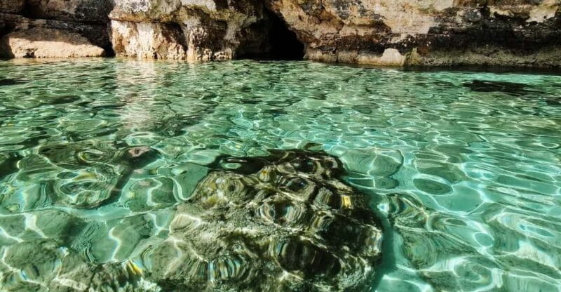 MALTA Comino BlueLagoon 3 hours Private Boat trips - The Sum Up