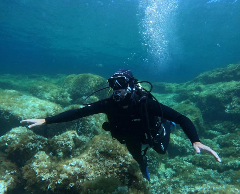Malta: Discover Scuba Diving in crystal clear waters - Final Thoughts: Who Will Love This?