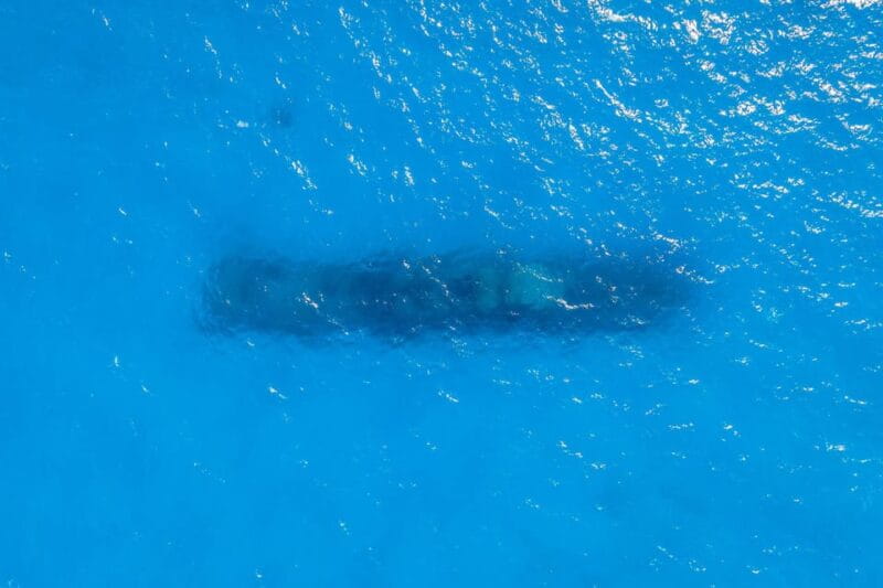 Malta, Gozo & Comino: Archipelago Charter. Duration 8 hours. - Exploring Malta’s Coastline and Hidden Gems