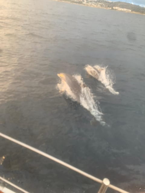 Malta Gozo Comino: Full Day Sailing Charter - Introduction: A Seafarer’s Dream in Malta