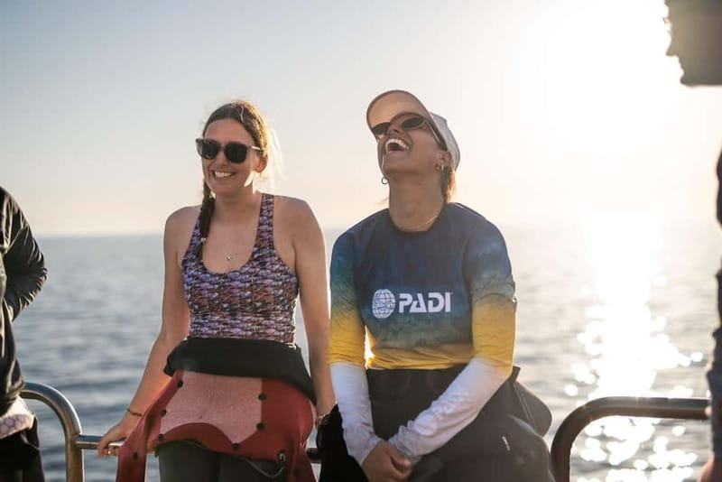 Malta: Open Water Course (PADI) - What to Expect on Day One: Getting Acquainted and Theoretical Foundations