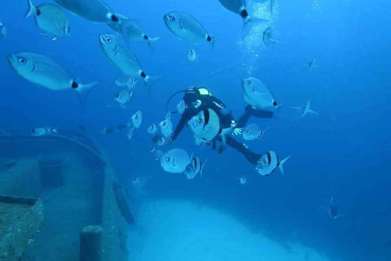 Malta: Scuba Diving Experience for Beginners w/certificate - Starting at OK Diving Malta: A Clear and Welcoming Base
