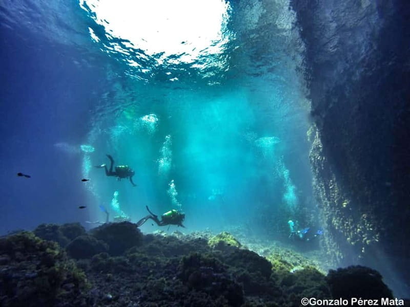 Malta: Scuba Diving Experience for Beginners w/certificate - The Guided Sea Tour: Marine Life and Underwater Views