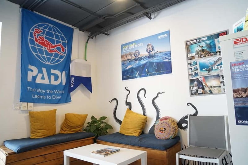 Malta: Scuba Diving Experience for Beginners w/certificate - Price and Logistics: Fair for What You Get