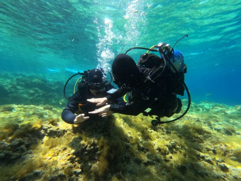 Malta: St. Paul's Bay 1 Day Scuba Diving Course - Navigating the Day: What to Expect