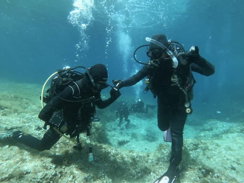 Malta: St. Paul's Bay 1 Day Scuba Diving Course - Transportation, Timing, and Practical Tips