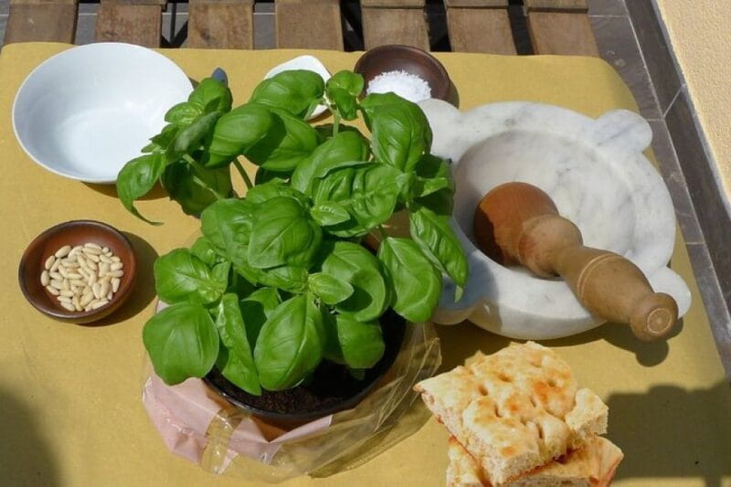 Manarola: Authentic Pesto Making Class at Cinque Terre - Who Will Love This Experience?