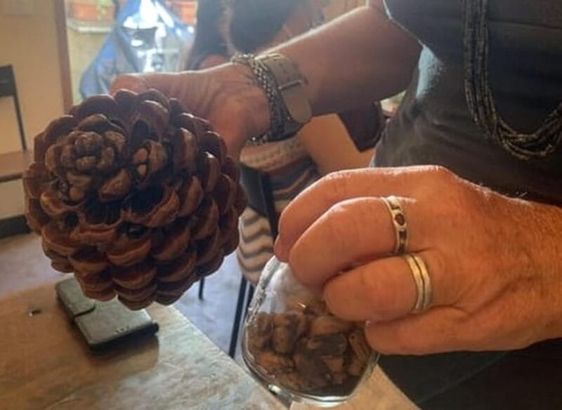 Manarola: Authentic Pesto Making Class at Cinque Terre - Frequently Asked Questions