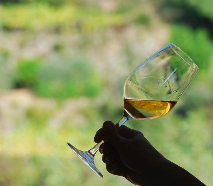 Manarola: Cinque Terre Wine Tasting - What You’ll Experience During the Tasting