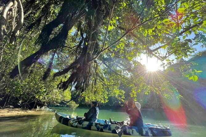 Mangrove Kayaking to Enjoy Nature in Okinawa - Customer Feedback and Booking Information