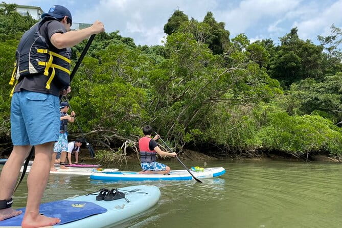 Mangrove SUP in Okinawa - What to Expect During the Tour