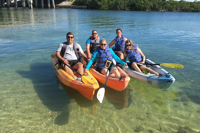 Mangroves and Manatees - Guided Kayak Eco Tour - Wildlife and Sightings