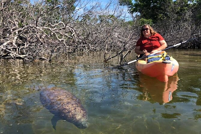 Mangroves and Manatees - Guided Kayak Eco Tour - Recommendations