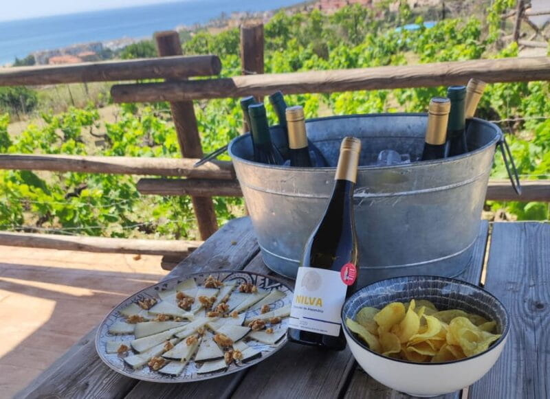 Manilva: Nilva Vineyard, Wine Tasting & Tapas Guided Tour - The Guide’s Impact: Maggie and Beyond