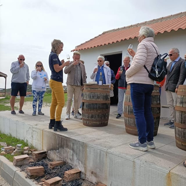 Manilva: Nilva Vineyard, Wine Tasting & Tapas Guided Tour - Who Is This Tour For?