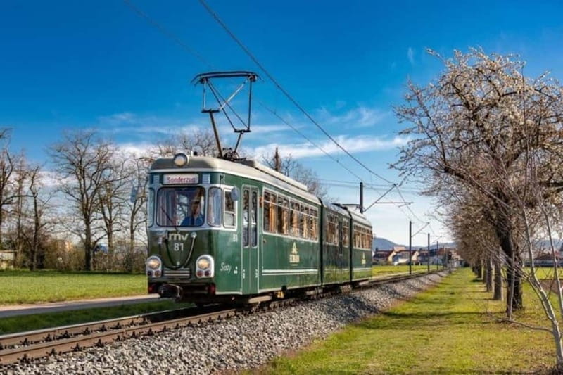 Mannheim: City tour with the historic streetcar - Who Will Love This Experience?