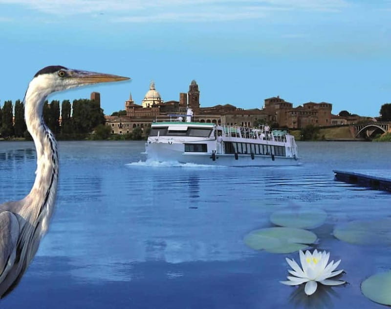 Mantua: from the water, lunch on the boat and guided visit to the city center - Who Will Love This Tour?